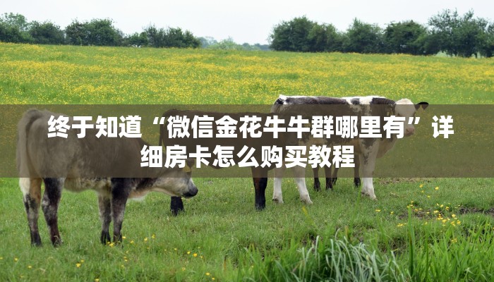 终于知道“微信金花牛牛群哪里有”详细房卡怎么购买教程 终于知道“微信金花牛牛群哪里有”详细房卡怎么购买教程