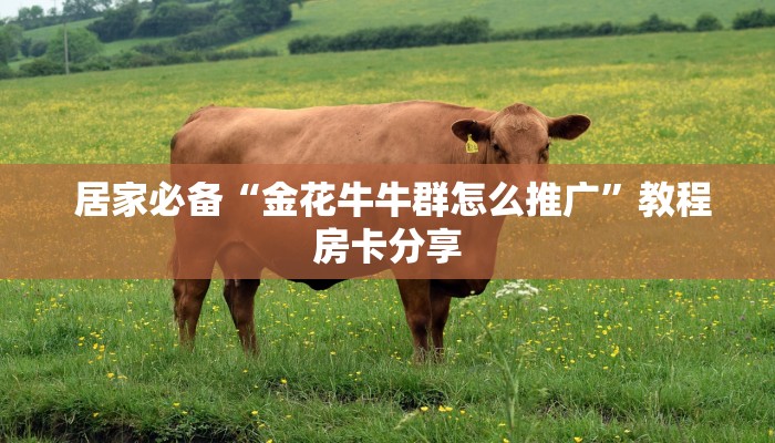 居家必备“金花牛牛群怎么推广”教程房卡分享 居家必备“金花牛牛群怎么推广”教程房卡分享