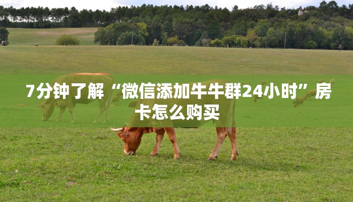 一分钟讲解!填大坑微信链接房卡“必胜”的ai辅助神器 一分钟讲解!填大坑微信链接房卡“必胜”的ai辅助神器