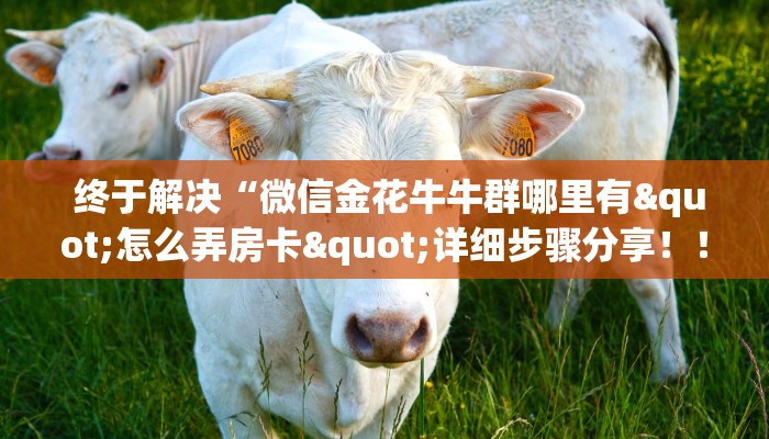  一分钟教会你"牛牛房卡在哪里弄”房卡使用教程
