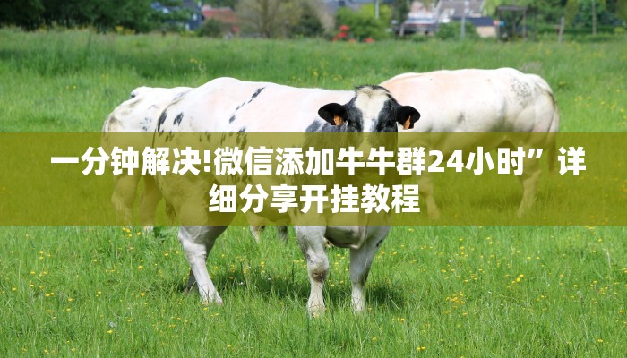  一分钟解决!微信添加牛牛群24小时”详细分享开挂教程