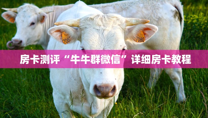 房卡测评“牛牛群微信”详细房卡教程