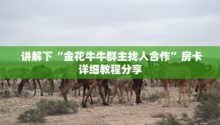  玩家必看“新道游房卡”详细房卡怎么购买教程
