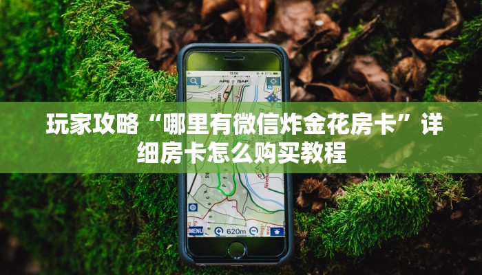玩家攻略“哪里有微信炸金花房卡”详细房卡怎么购买教程 玩家攻略“哪里有微信炸金花房卡”详细房卡怎么购买教程
