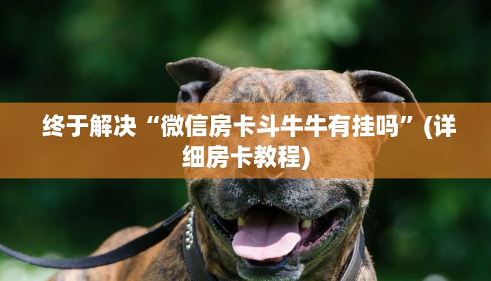 玩家测评“微信牛牛群一毛一分”房卡链接获取 玩家测评“微信牛牛群一毛一分”房卡链接获取