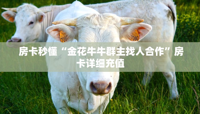  房卡秒懂“金花牛牛群主找人合作”房卡详细充值