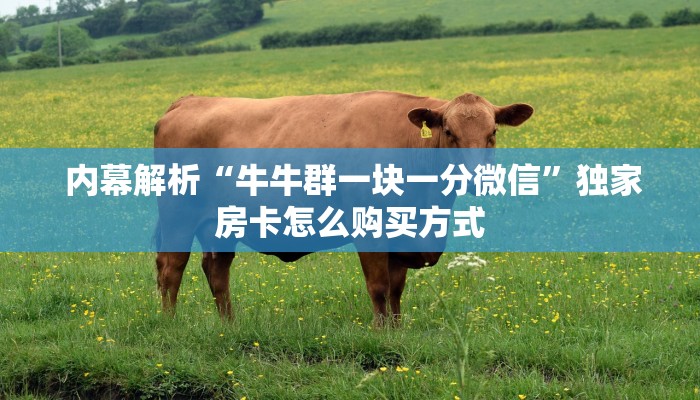  终于解决“微信房卡炸金花链接怎么弄的”详细分享开挂教程