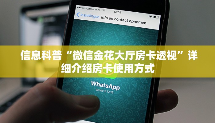  玩家揭秘“皇豪互娱金花如何购买房卡“必胜”的ai辅助神器