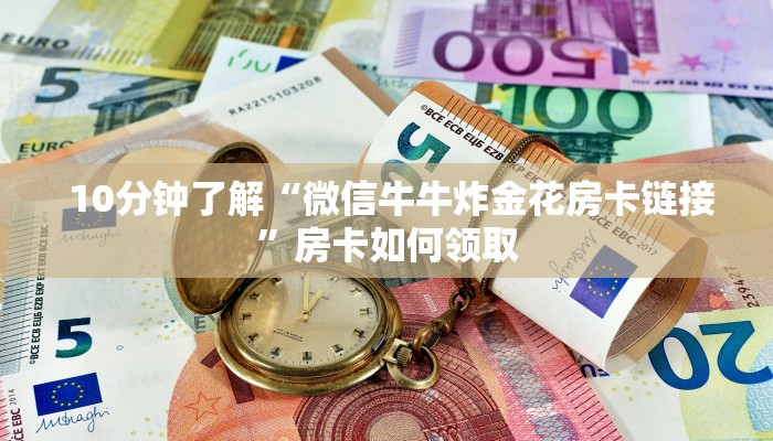  玩家测评“牛牛炸金花是什么意思”详细房卡点评
