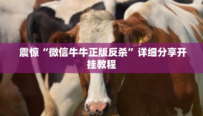 玩家科普“能玩牛牛炸金花的手游”详细分享开挂教程 玩家科普“能玩牛牛炸金花的手游”详细分享开挂教程