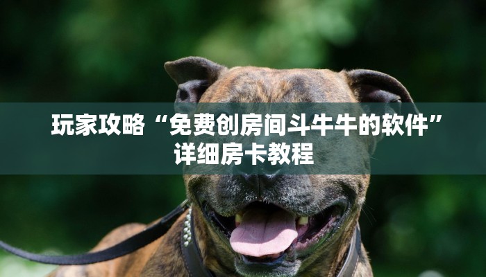  (5分钟科普下)房卡牛牛官网下载”详细房卡点评