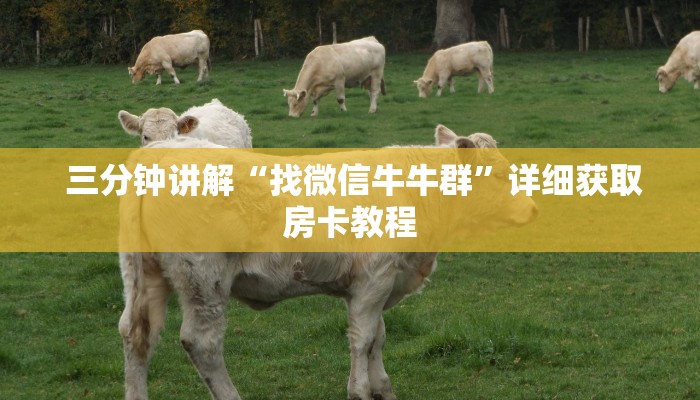  三分钟讲解“找微信牛牛群”详细获取房卡教程