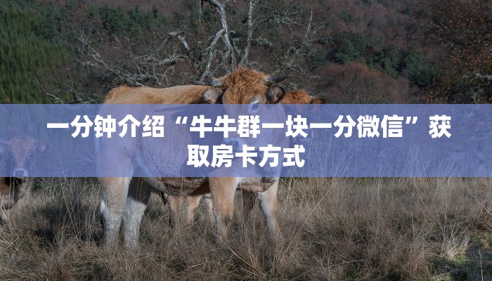  一分钟介绍“牛牛群一块一分微信”获取房卡方式