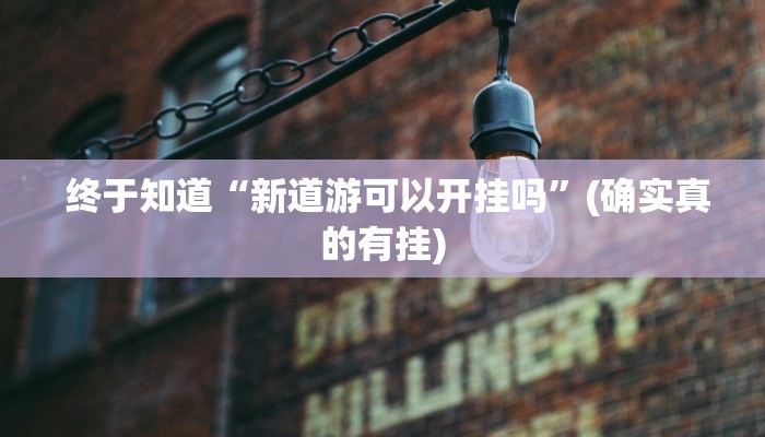  终于知道“新道游可以开挂吗”(确实真的有挂)