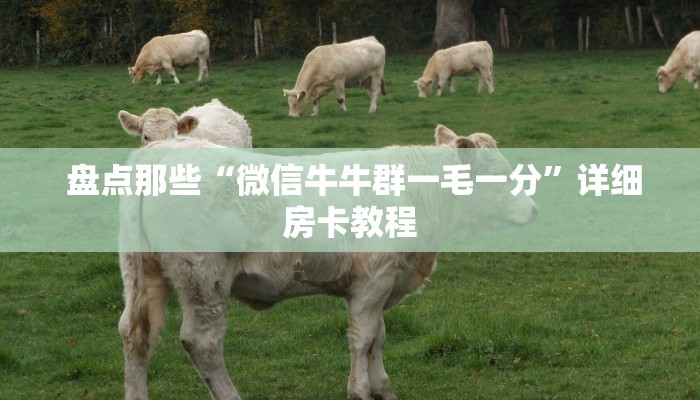  信息科普“微信房卡拼三张“必胜”的ai辅助神器
