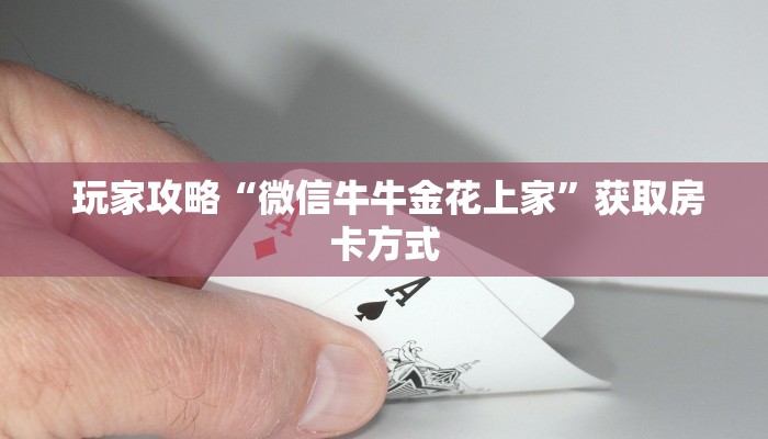  玩家分享“微信斗牛房卡怎么弄”详细房卡教程