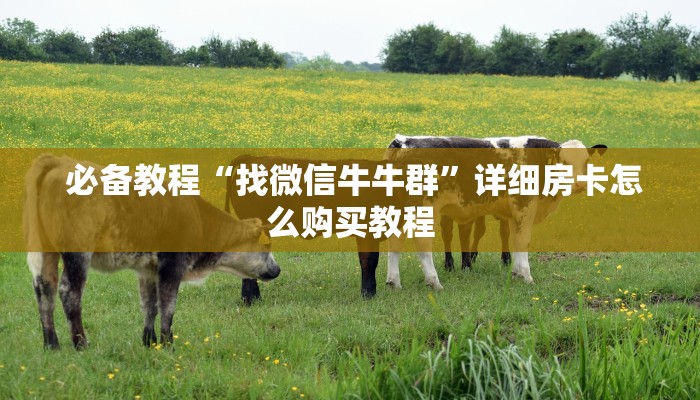  3秒了解分享"微信拼三张金花房卡怎么搞“必胜”的ai辅助神器