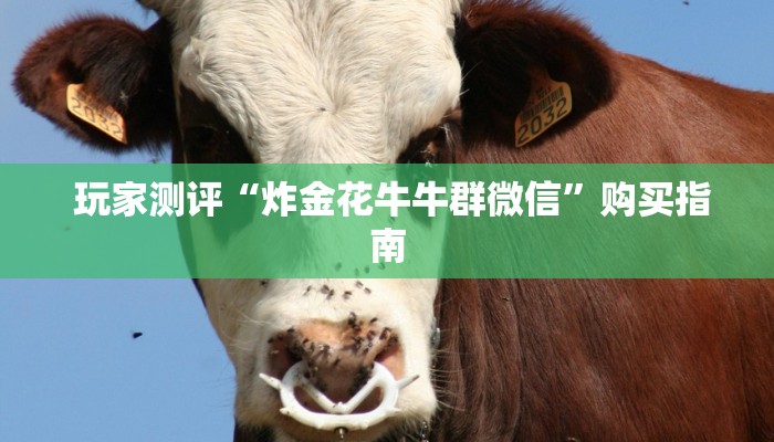  一分钟讲解!微信牛牛正版反杀”科技获取房卡教程
