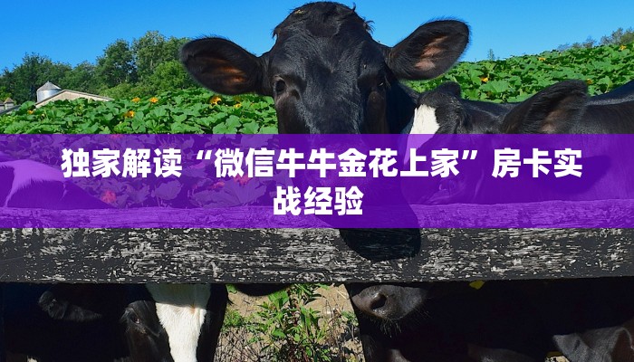 玩家测评“微信金花链接房卡平台”房卡使用教程 玩家测评“微信金花链接房卡平台”房卡使用教程