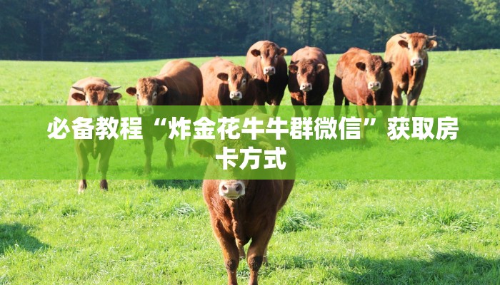 游戏测评“微信金花房卡哪里买”详细房卡教程 游戏测评“微信金花房卡哪里买”详细房卡教程