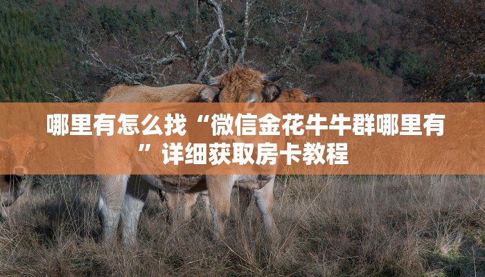  实时重点“芙蓉金花大厅房卡怎么用”(详细房卡教程)