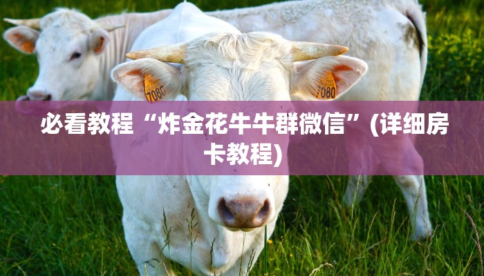  必看教程“炸金花牛牛群微信”(详细房卡教程)