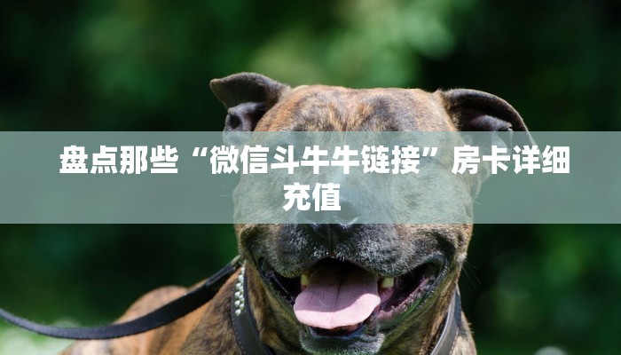  玩家必看教程“炸金花房卡怎么搞链接”(确实真的有挂)
