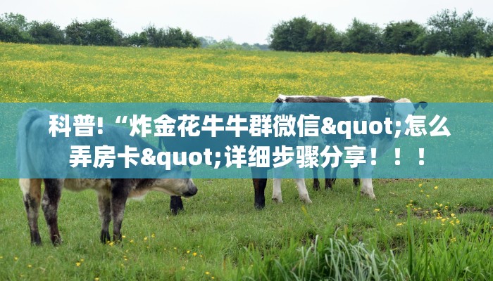  科普!“炸金花牛牛群微信"怎么弄房卡"详细步骤分享！！！