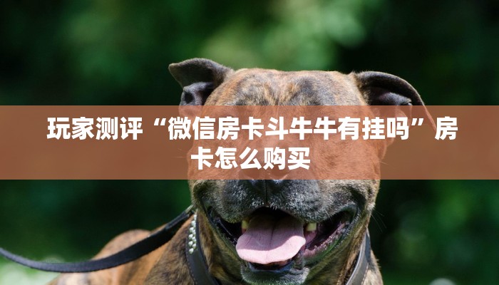  盘点那些“牛牛房卡在哪里购"怎么弄房卡"详细步骤分享！！！