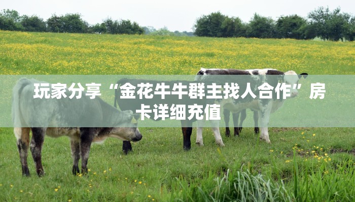  3秒了解分享"微信牛牛炸金花房卡链接”房卡详细充值