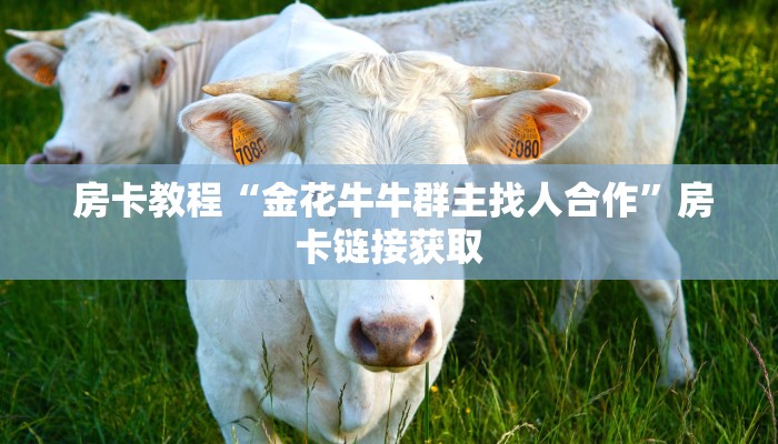  独家解读“微信怎么玩牛牛金花”房卡详细充值