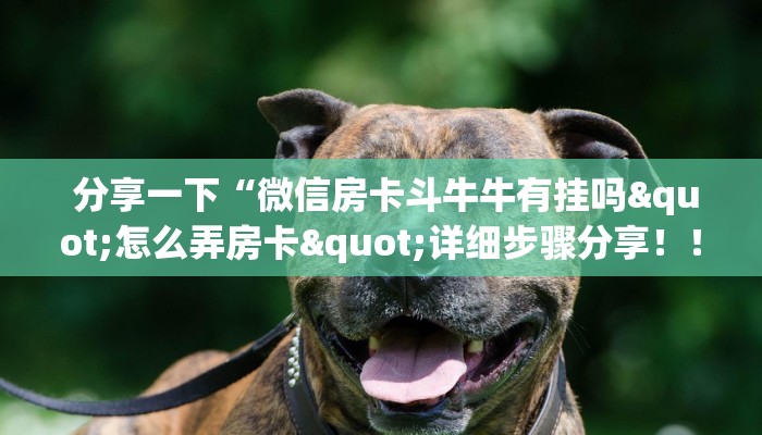  重要信息“牛牛房卡卖家联系方式”房卡详细教程分享