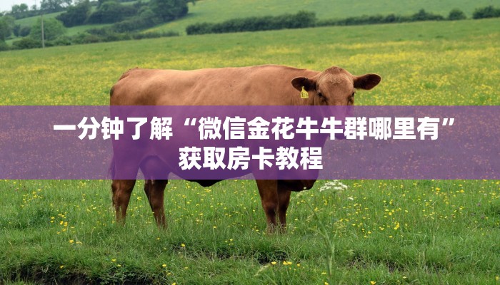  10分钟了解“微信金花房卡”房卡链接获取