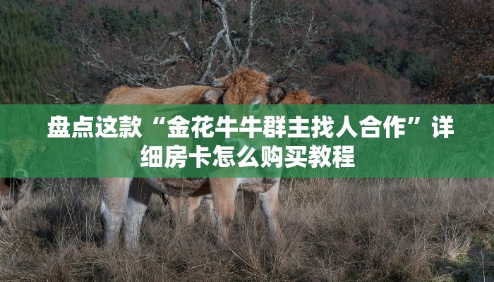盘点这款“金花牛牛群主找人合作”详细房卡怎么购买教程 盘点这款“金花牛牛群主找人合作”详细房卡怎么购买教程