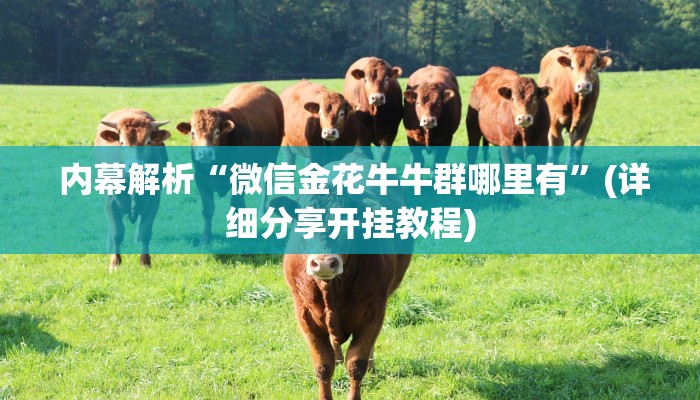  哪里有怎么找“牛魔王房卡”购买指南
