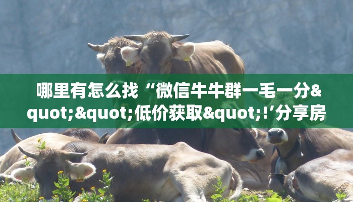  哪里有怎么找“微信牛牛群一毛一分""低价获取"!’分享房卡给大家