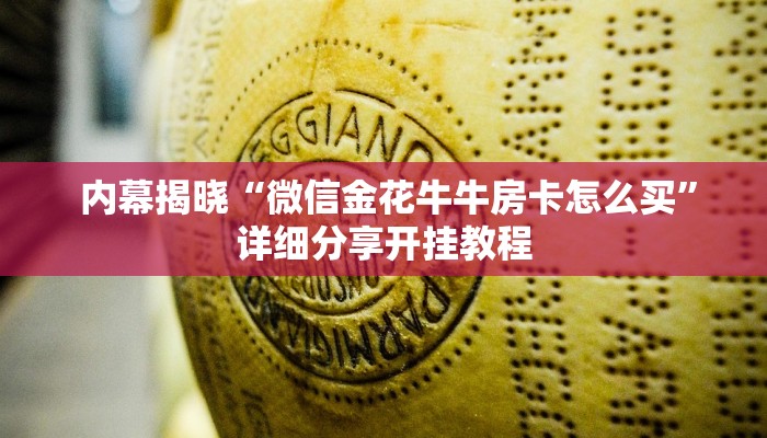7分钟了解“微信金花房卡哪里买”房卡详细充值 7分钟了解“微信金花房卡哪里买”房卡详细充值