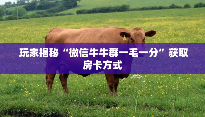  玩家测评“新二号大厅牛牛金花房卡”详细分享开挂教程