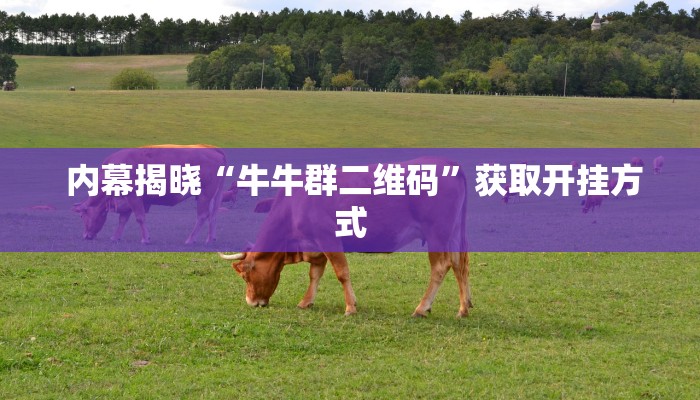  内幕揭晓“牛牛群二维码”获取开挂方式
