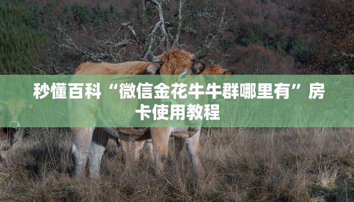  秒懂百科“微信金花牛牛群哪里有”房卡使用教程