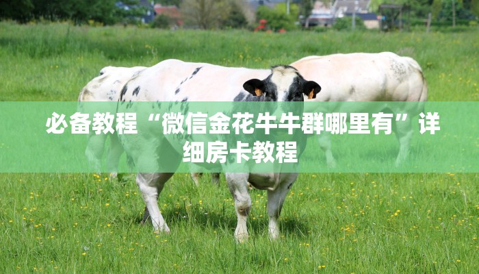  必备教程“微信金花牛牛群哪里有”详细房卡教程