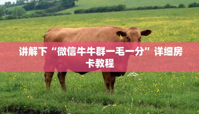  讲解下“微信牛牛群一毛一分”详细房卡教程