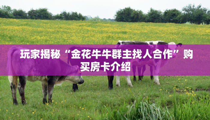  玩家揭秘“金花牛牛群主找人合作”购买房卡介绍