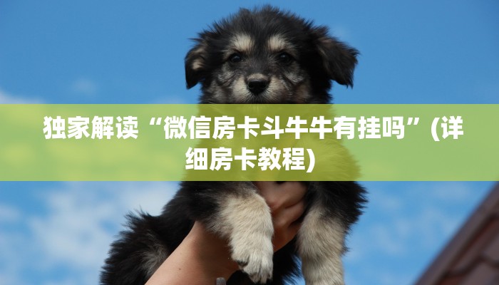  独家解读“微信房卡斗牛牛有挂吗”(详细房卡教程)