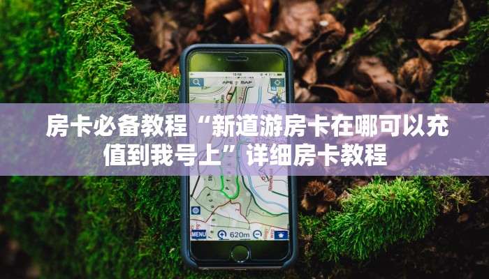  房卡必备教程“新道游房卡在哪可以充值到我号上”详细房卡教程