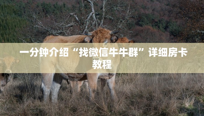  独家了解“炸金花房卡链接如何买"怎么弄房卡"详细步骤分享！！！