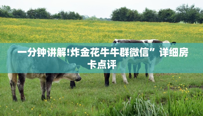  房卡必备教程“微信金花牛牛群哪里有”科普玩家房卡