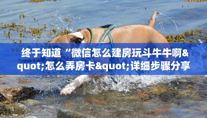 终于知道“微信怎么建房玩斗牛牛啊"怎么弄房卡"详细步骤分享!!! 终于知道“微信怎么建房玩斗牛牛啊"怎么弄房卡"详细步骤分享!!!