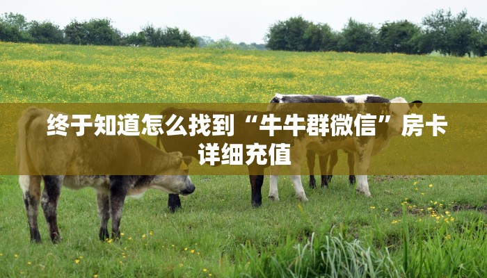  终于知道怎么找到“牛牛群微信”房卡详细充值