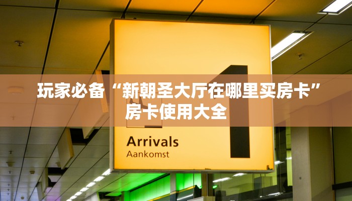  居家必备“烛龙大厅怎么买房卡”科普玩家房卡
